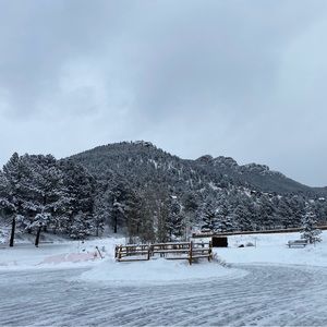 Meet your Posher, Kim🤗